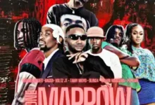 Gangsta Madeit , Bagga , Voltz Jt, Bling4, Tamy Moyo, Calvin Mangena, Poptain - Bone Marrow Mp3 Download
