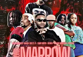 Gangsta Madeit , Bagga , Voltz Jt, Bling4, Tamy Moyo, Calvin Mangena, Poptain - Bone Marrow Mp3 Download