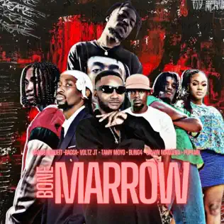 Gangsta Madeit , Bagga , Voltz Jt, Bling4, Tamy Moyo, Calvin Mangena, Poptain - Bone Marrow Mp3 Download