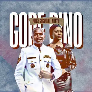 Prince Chigwida ft Nelcy B - Gore Rino Mp3 Download