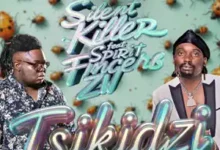 Silent Killer ft Spirit Zw - TsikidziMp3 Download